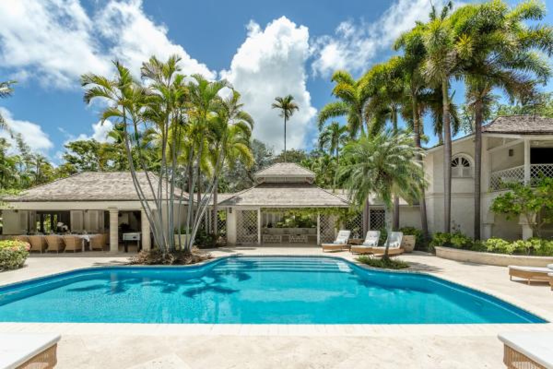 Heronetta Sandy Lane