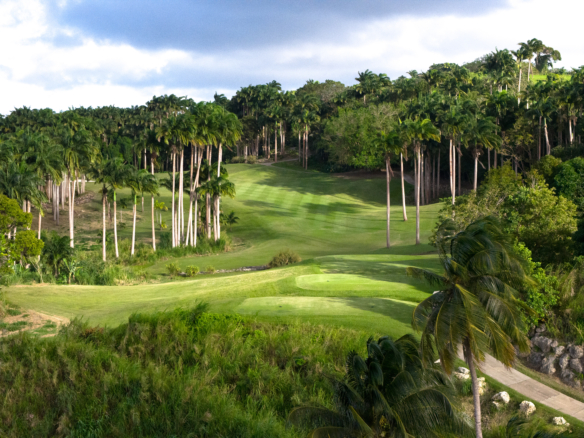 APES HILL GolfCourse DJI 20260307204741 0018