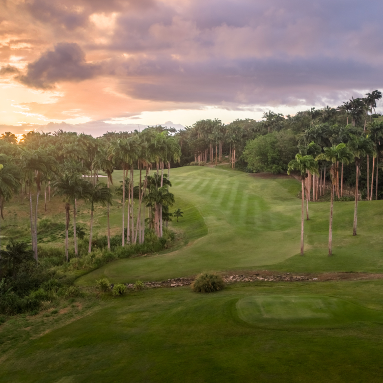 APES HILL GolfCourse DJI 20260312101456 0260