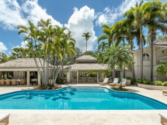 Heronetta Sandy Lane