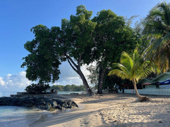 Holetown beach surfside