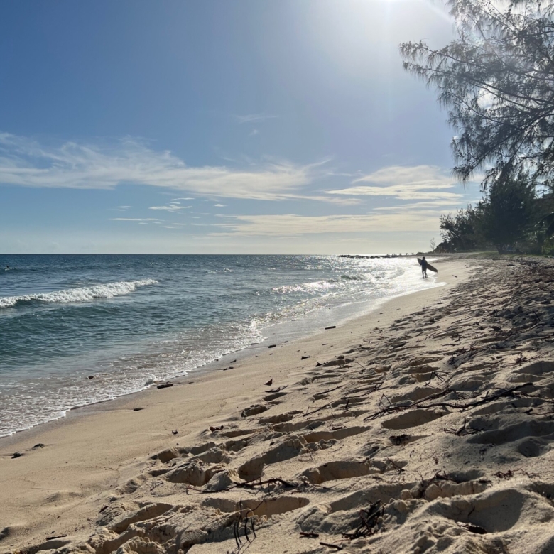 Holetown beach waves surfer