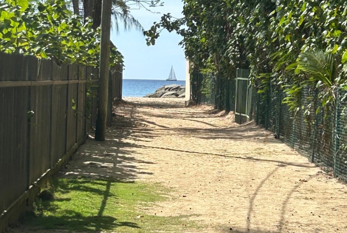 Honeycomb Beach Path