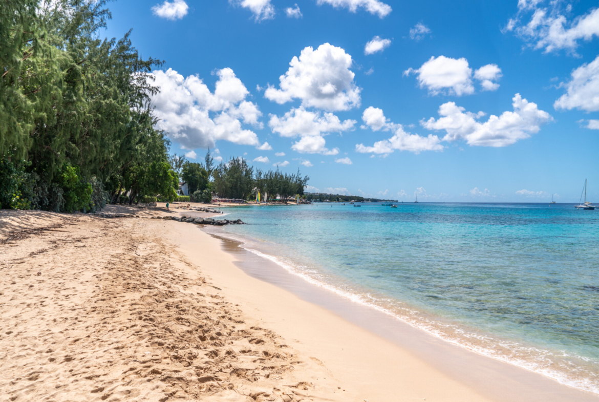 honeycomb house beach