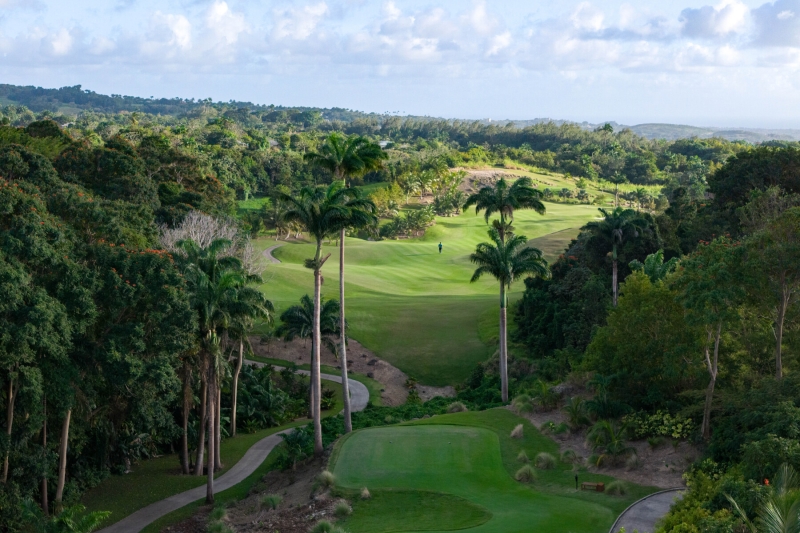 APES HILL GolfCourse DJI 20260307211029 0042