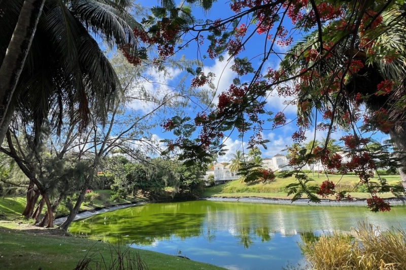 CASSIAHEIGHTSLAKE