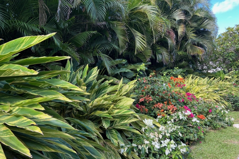 FLORA&FAUNA@RWM