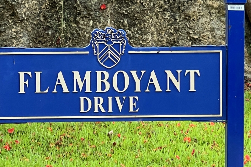FlambouantDriveRWM