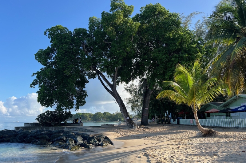 Holetown beach surfside