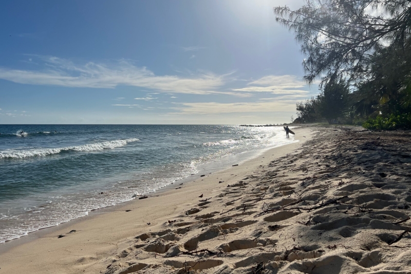 Holetown beach waves surfer