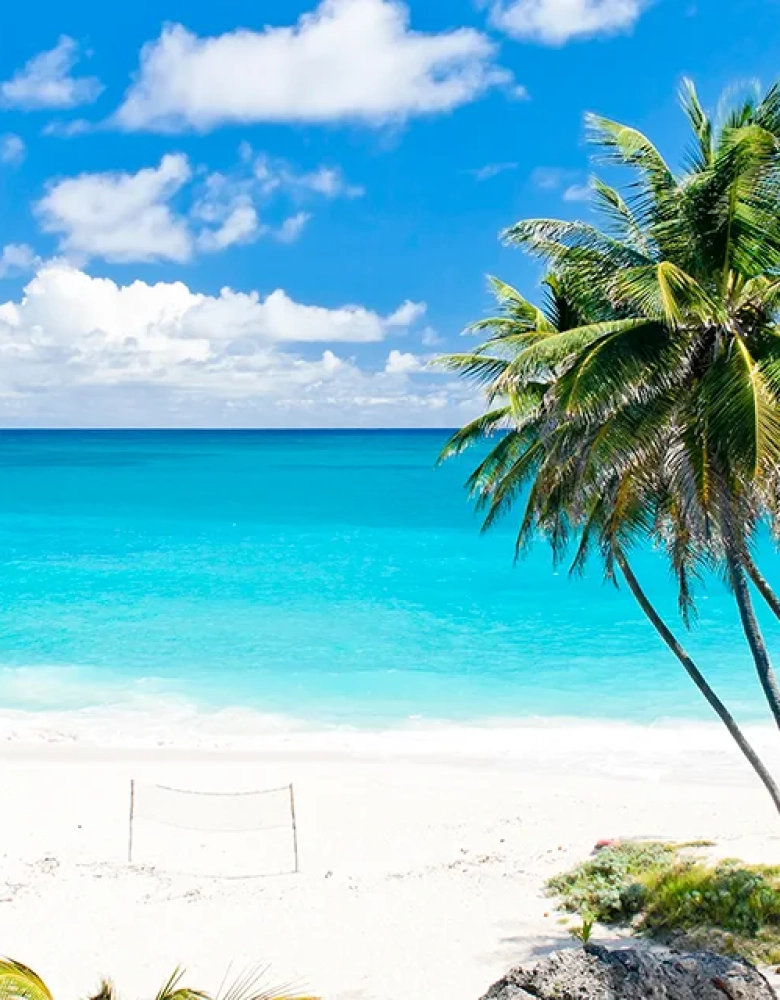 Speightstown Olivers travels